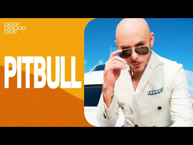 DEEP DISCOG DIVE: Pitbull