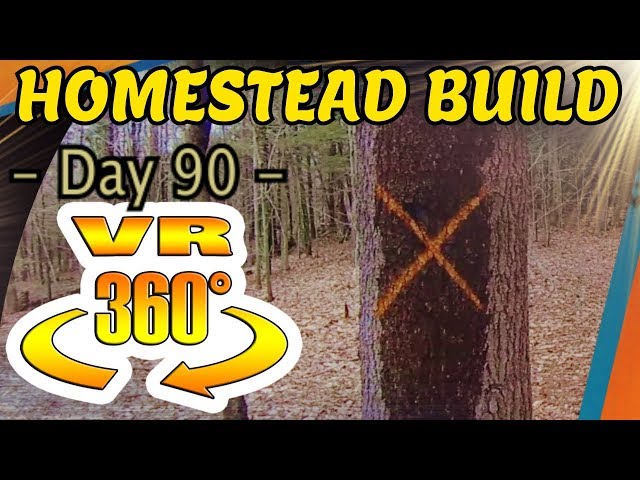 Homestead Construction Day 90