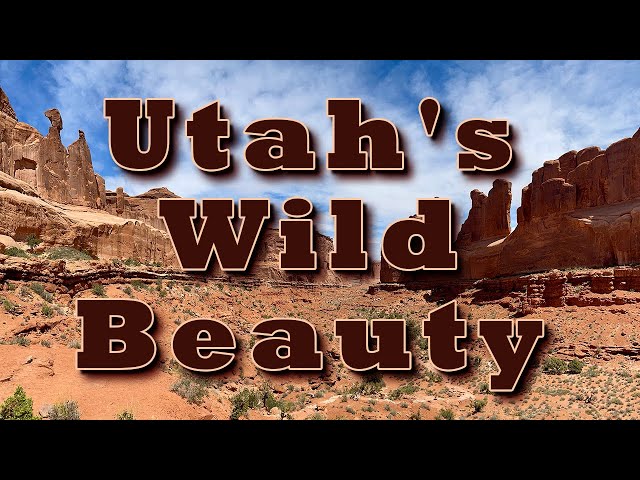 Southern Utah Landscapes: Rock Formations and Canyons