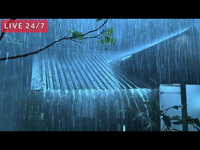 Heavy Rain and Thunderstorms to Sleep Fast & Overcome Insomnia. Nature Sounds for Sleeping 🌧️💤😴 24/7