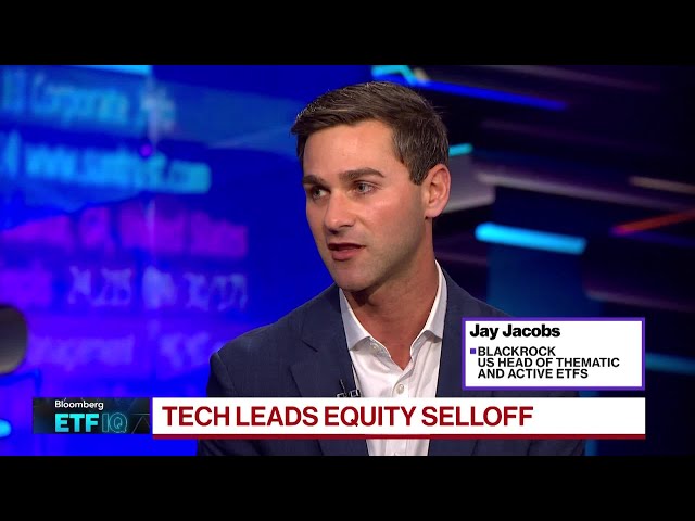 Very Focused on Innovation at iShares: BlackRock's Jacobs