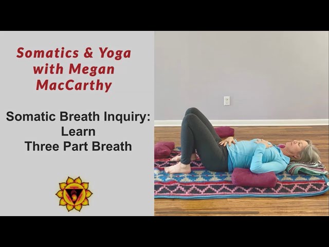 Somatic Breath Inquiry #1: Learn Three Part Breath