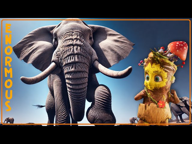 Enormous Elephants - Emotional and Intelligent Creatures