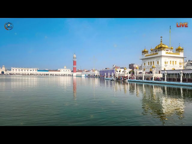 Official SSG LIVE | 14-02-25 | Live Shabad Kirtan | Gurbani Kirtan Live | #livegurbani