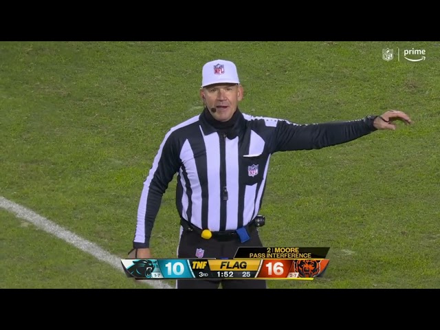 Clete Blakeman trolls the Bears crowd