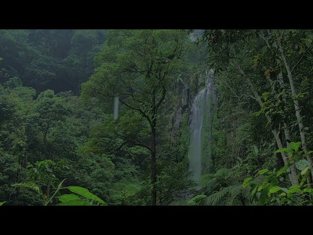 Gentle Rain and Waterfall Sounds to Help You Sleep and Unwind