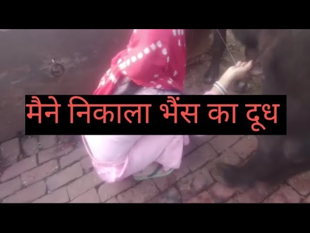 Indian VillageLife ll माजी गई घूमने फिर मम्मी ने निकाला भैंस का दूध मैने बनाई video 📷