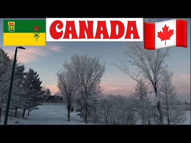 Snow Makes The View So Beautiful | Canada Life in Winter | Saskatoon | Sk