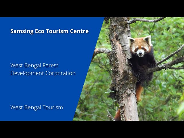 Samsing Eco Tourism Centre | West Bengal Forest Development Corporation | West Bengal Tourism