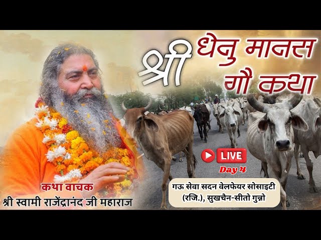 Live Day 4 श्री धेनू मानस गो कथा ज्ञान यज्ञ ||सुखचैन सीतो गुन्नो|| P.P. Rajendranand Ji Maharaj