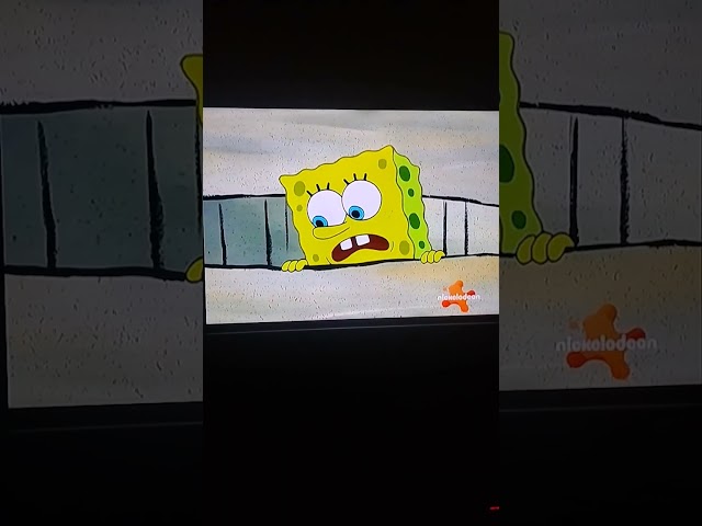 SpongeBob Finland