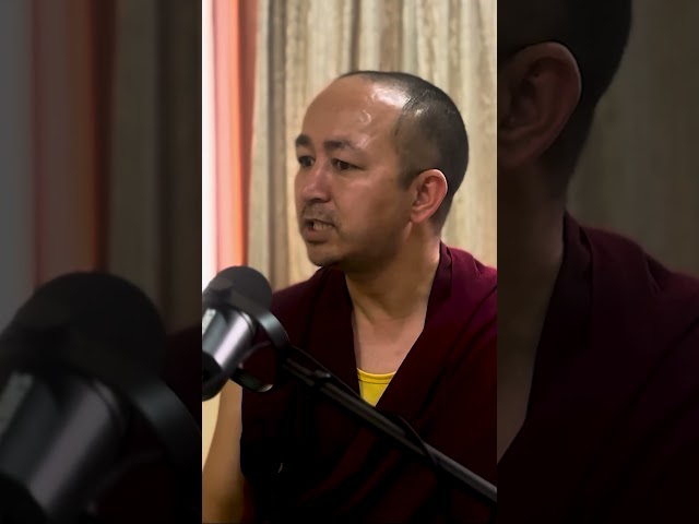 What is so special about buddhism? #buddhism #spirituality #meditation #monk