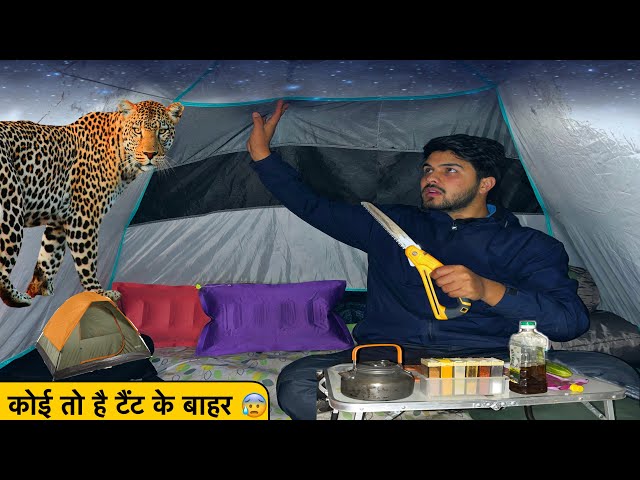 Not Solo Camping In Dangerous Forest Of Kashmir | जंगली जानवरो से बचना होगा 😰| Camping Trip | #blog