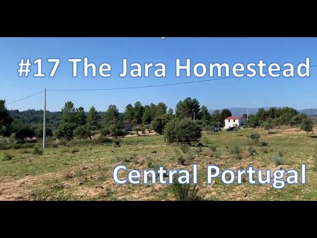 #17 We bought this homestead in Central Portugal