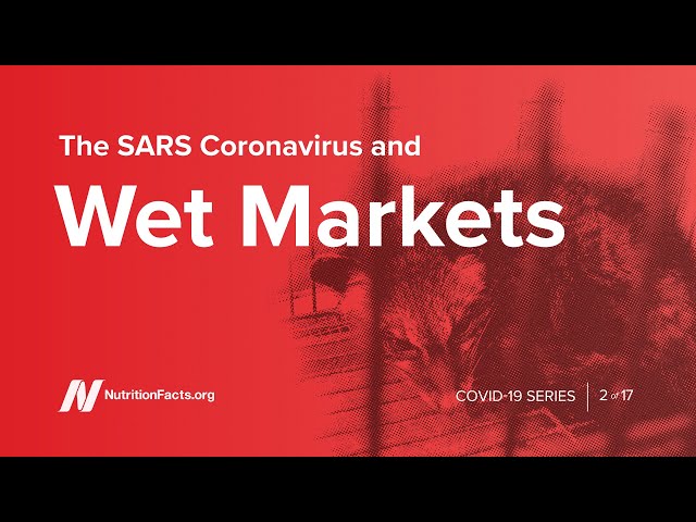 The SARS Coronavirus and Wet Markets