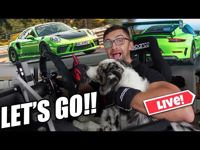 First Apex AC TF Live Session! GT3 RS MR with the Boys!