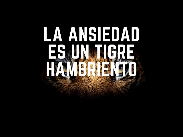 La ansiedad es un  tigre hambriento (metáfora)