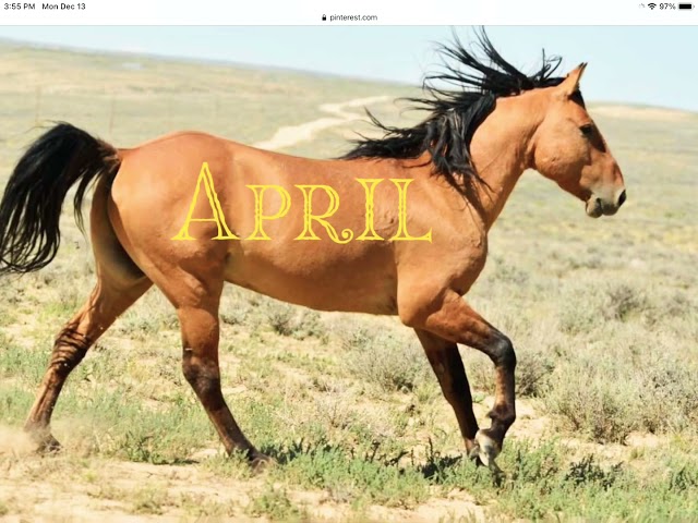 Your horse with your birth month