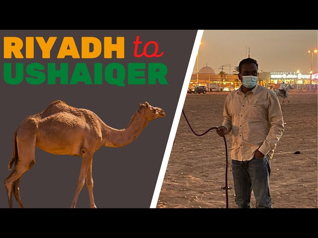 Riyadh to Ushaiqer Heritage Village Part 1 || iMteyaz Vlogs || Saudi Arabia