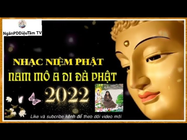 Nhìn ẢNH ĐỨC PHẬT mỗi đêm sẽ ngủ ngon-NIỆM PHẬT MỖI NGÀY-TIÊU TAI Nghiệp Chướng Bình An 2022 - 2023