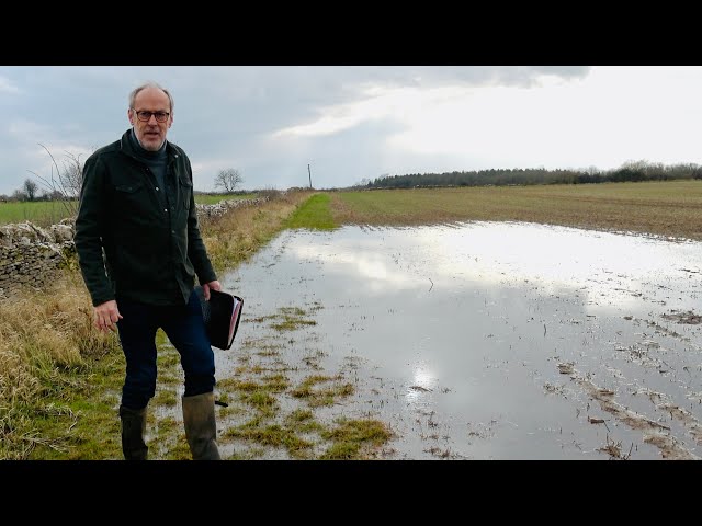 Yet more rain & with farmers protesting across Europe, will UK farmers be protesting soon too?