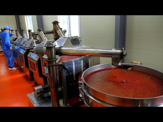 The process of mass production of red pepper powder. Korean red pepper powder factory.