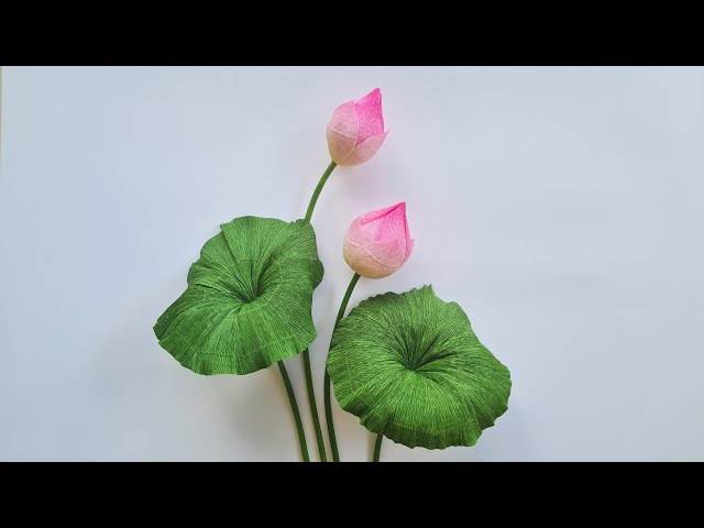 How To Make Lotus Paper Flower (P2) / Paper Flower / Góc nhỏ Handmade