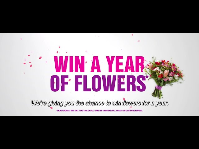 Bridget Jones Mad About the Boy | Win Flowers for a Year*