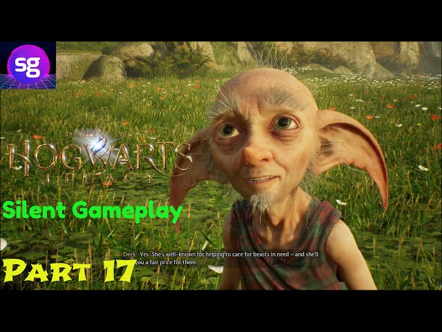 Hogwarts Legacy Silent Gameplay No Commentary Part 17