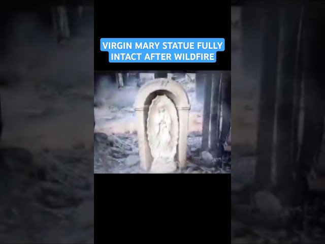 A Virgin Mary statue was found fully intact after surviving a wildfire #jesus