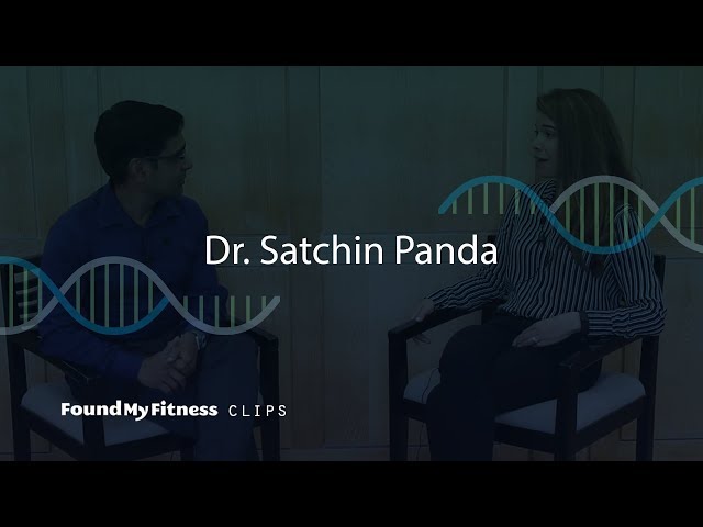 Restricting feeding in mice to an 8-9 hour window improved endurance | Satchin Panda