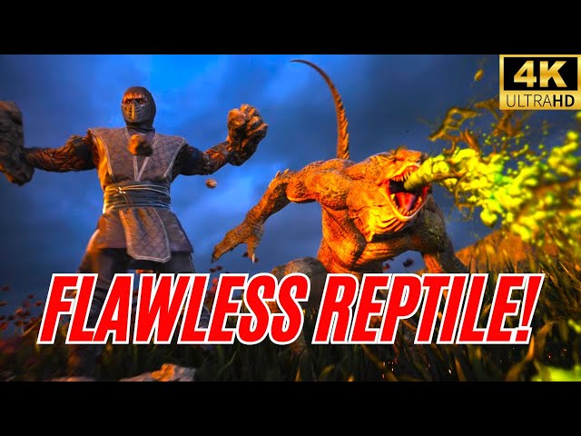 BREATHTAKING NEW STAGE! Godlike REPTILE + TREMOR Gameplay in Mortal Kombat 1 (4K)