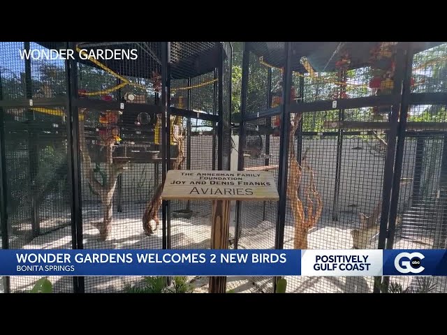 Bonita Springs Wonder Gardens welcomes 2 birds displaced from Shell Factory