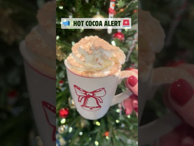 The Ultimate Christmas Hot Chocolate Recipe