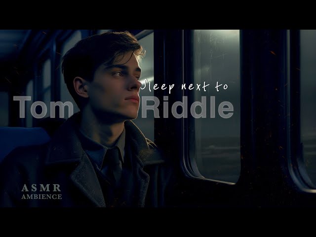 Harry Potter ambience | Sleep next to Tom Riddle | You ended up sitting next to him on the train