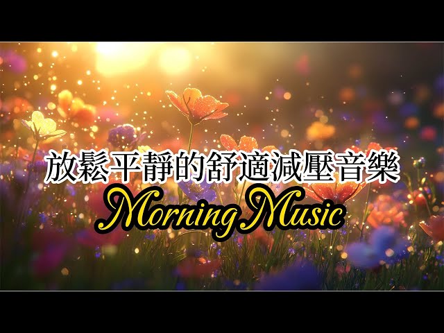 早上最適合聽的輕音樂 - 美妙的音樂 - 純鋼琴輕音樂 - 轻松的钢琴音乐