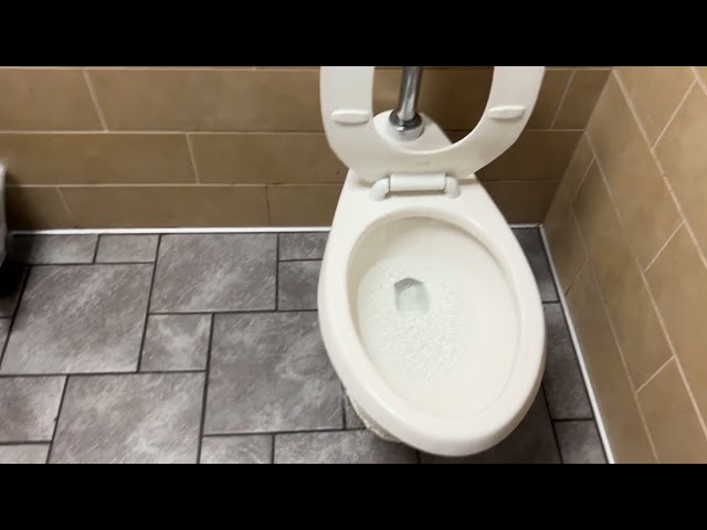 2000s AS Madera Toilet with a Afwall-like Flush