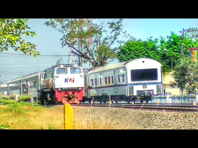 Newly TRAIN departing now - cc206 KAI (TRAIN RECORDING VIDEO)