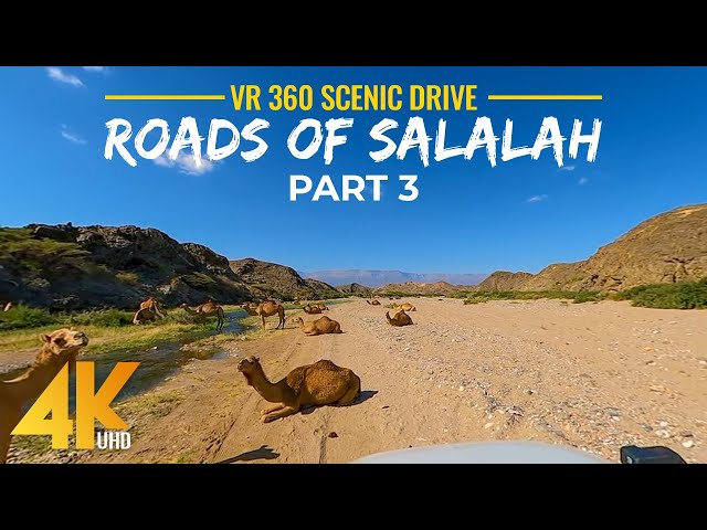 Exploring Backcountry Roads & Deserted Landscapes of Salalah - 4K 360°  Virtual Drive Video - #3