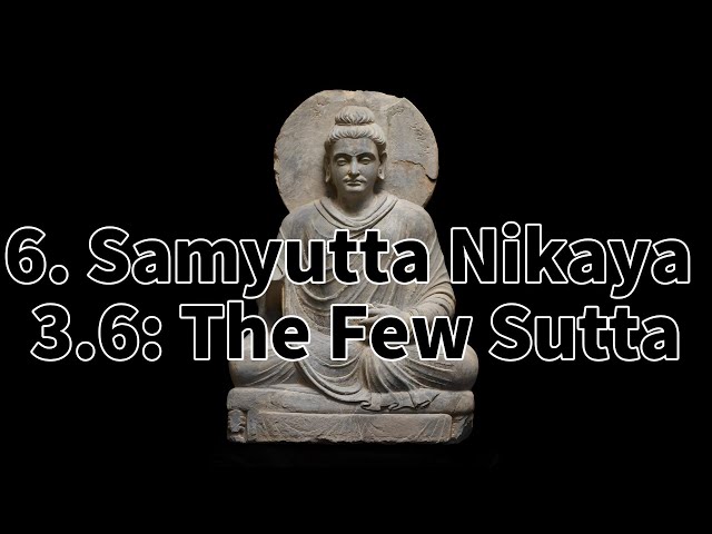 6. Samyutta Nikaya 3.6: The Few Sutta.