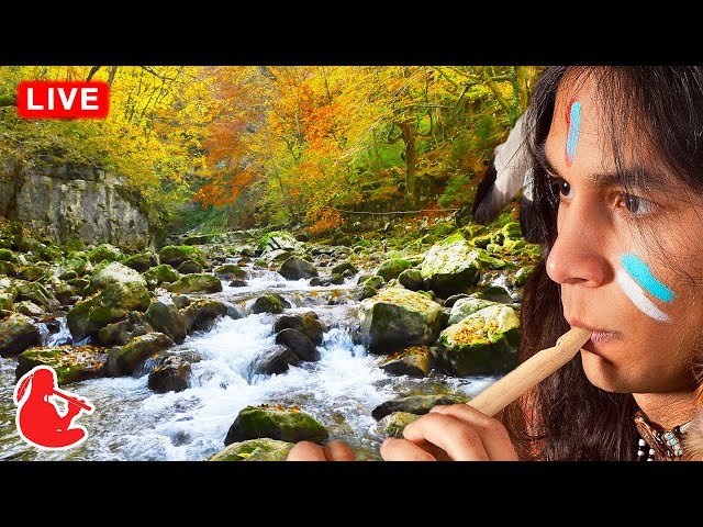 Native American Flute Music & Calming Nature Sounds for Deep Sleep & Relaxation