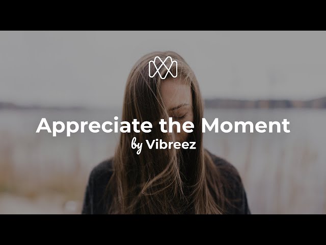 Vibreez - Appreciate the Moment (Lyrics)