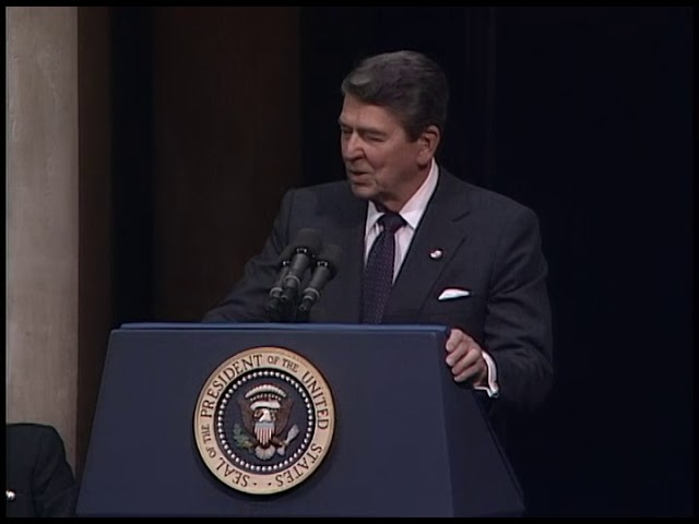 President Reagan's Remarks at Italian-American Conference on PSI in Venice on June 11, 1987