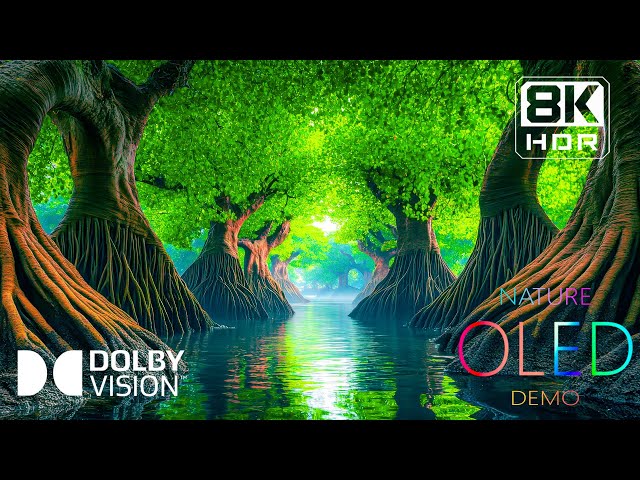 Captivating Wonders Nature in 8K HDR | Dolby Vision™