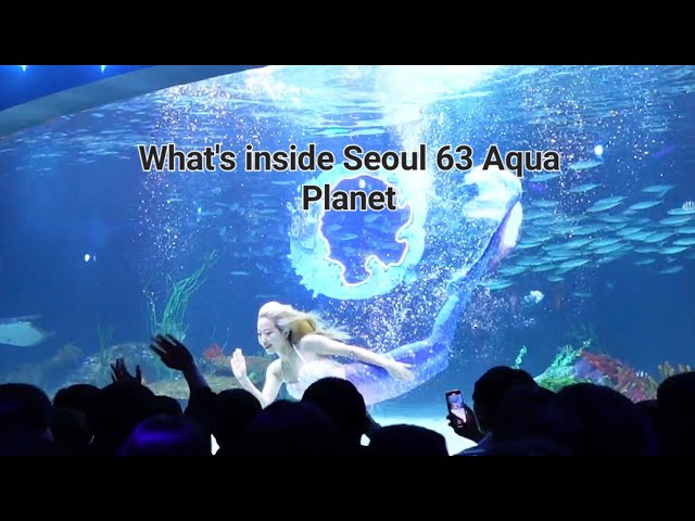 Visited Seoul 63 Aqua Planet and Mermaid Show