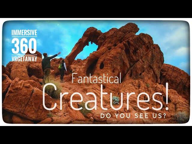 Fantastical Creatures 👾👽👾 Do You See Us? Epic Immersive 360 VR Adventure to the Bizarre and Unusual