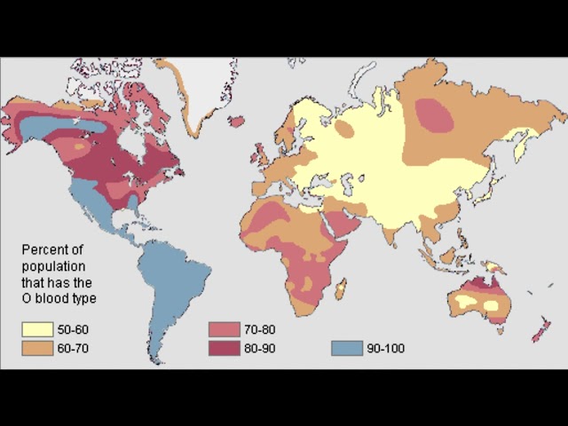 * NL to ENG - MOZAÏEK v VERSPREIDING v AMAZONE INDIAAN ANCESTOR OVER DE HELE WERELD