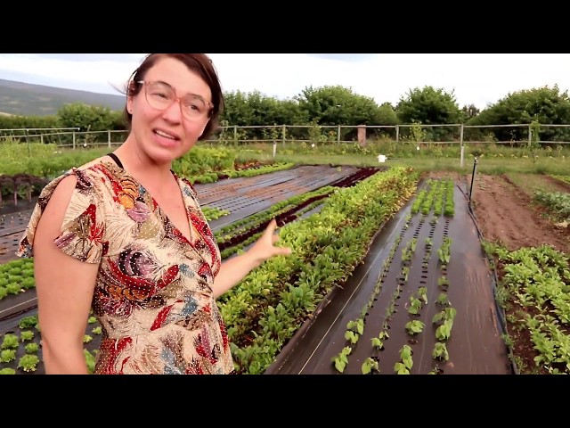 JULY GARDEN TOUR on our 1 year property anniversary