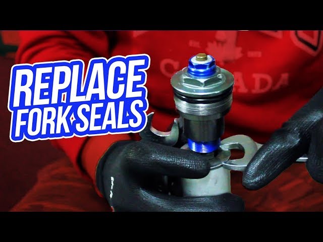 Replacing Right-side-up Fork Seals and Rebuild