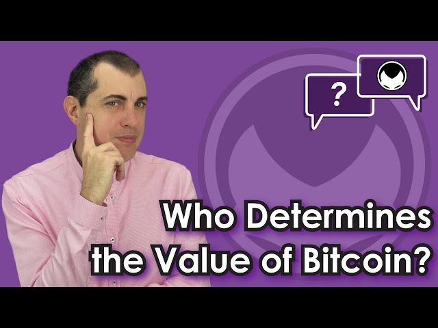 Price Volatility: Who Determines the Value of Bitcoin and Other Cryptocurrencies?